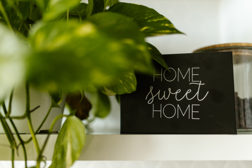Dekoratives Bild mit Pflanze und 'Home sweet home'-Schild